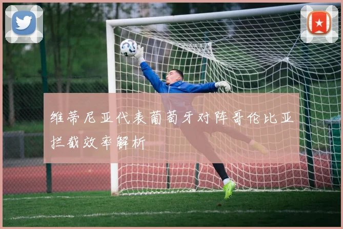 维蒂尼亚代表葡萄牙对阵哥伦比亚拦截效率解析