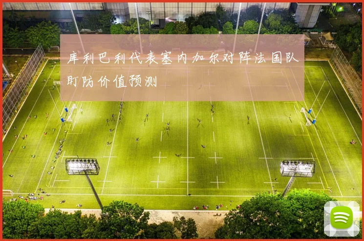 库利巴利代表塞内加尔对阵法国队盯防价值预测