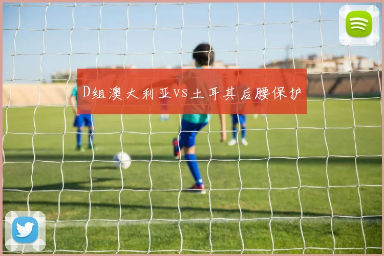 D组澳大利亚vs土耳其后腰保护