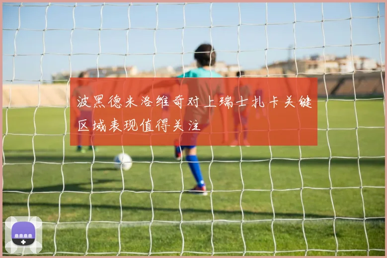 波黑德米洛维奇对上瑞士扎卡关键区域表现值得关注