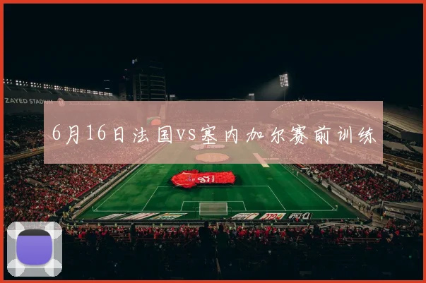6月16日法国vs塞内加尔赛前训练