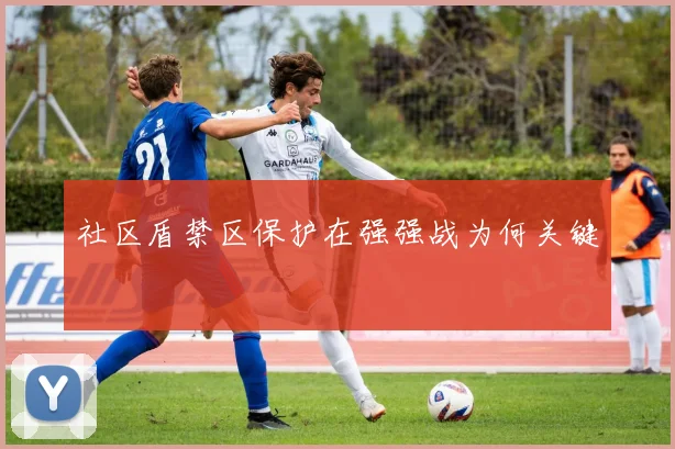 社区盾禁区保护在强强战为何关键