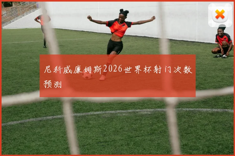 尼科威廉姆斯2026世界杯射门次数预测